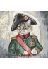 Fodera cuscino - Gatto Generale